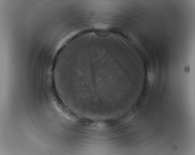 X0000112850492200909181740