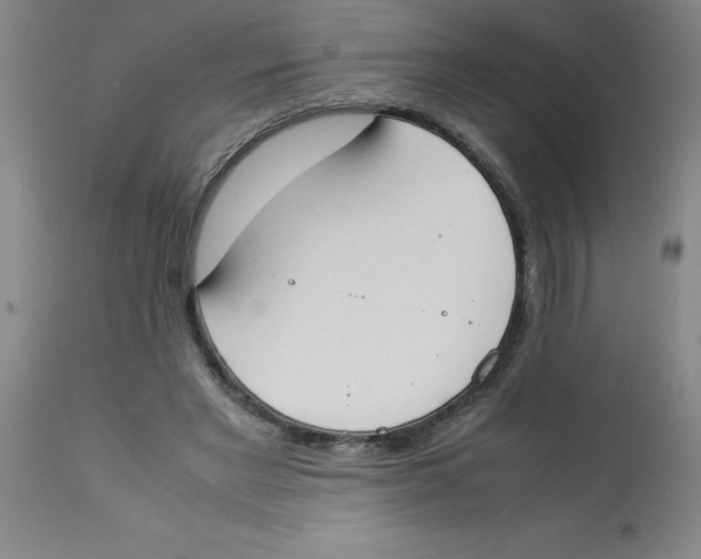 X0000112850493200909181740