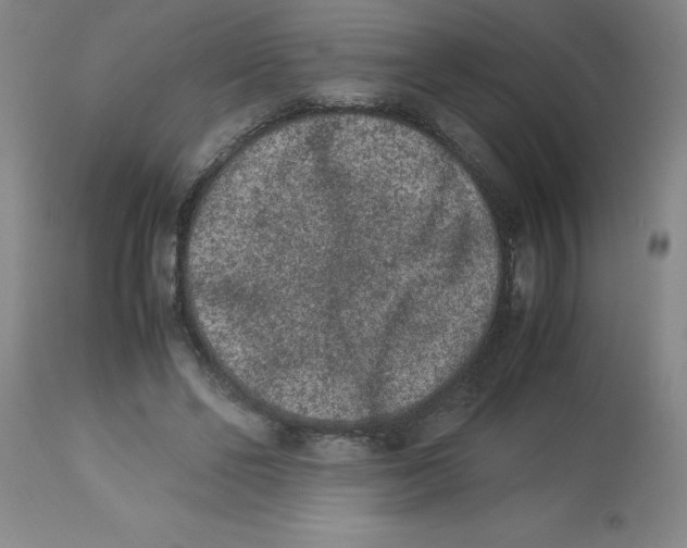 X0000112850494200909181740