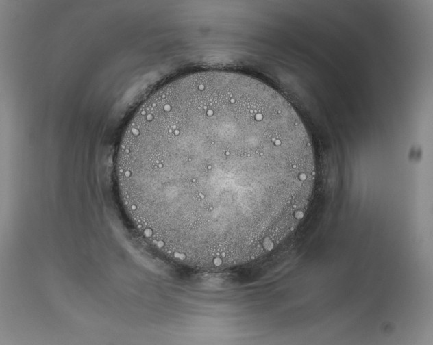 X0000112850495200909181740