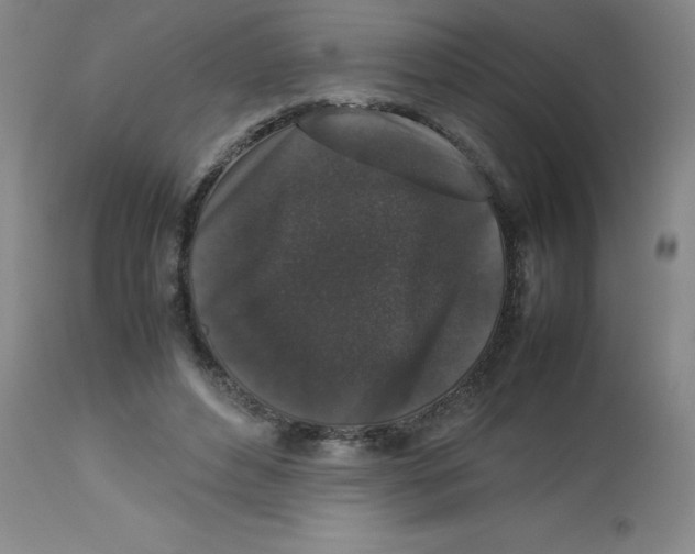 X0000112850496200909181740