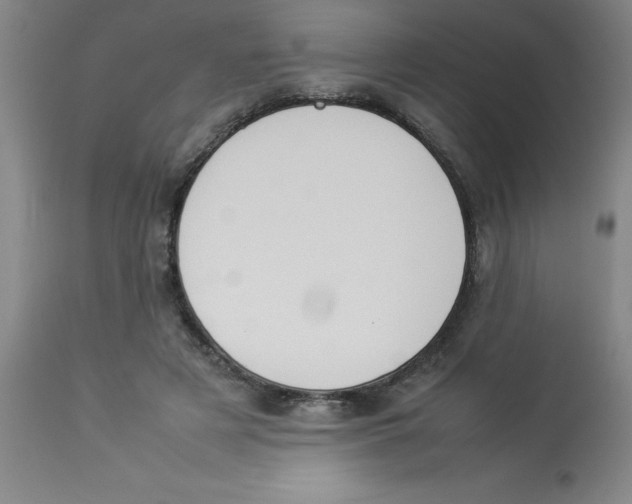 X0000112850497200909181740