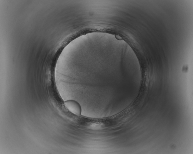 X0000112850500200909181740