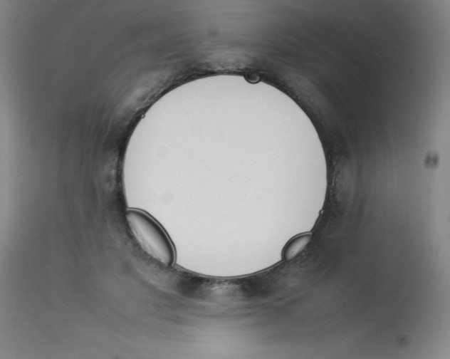 X0000112850501200909181740