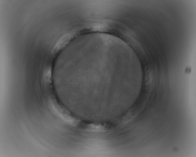 X0000112850502200909181740