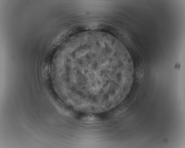 X0000112850503200909181740