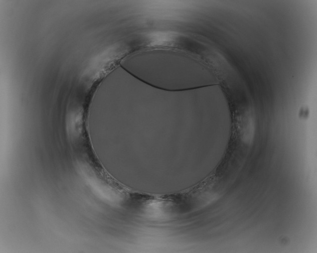 X0000112850504200909181740