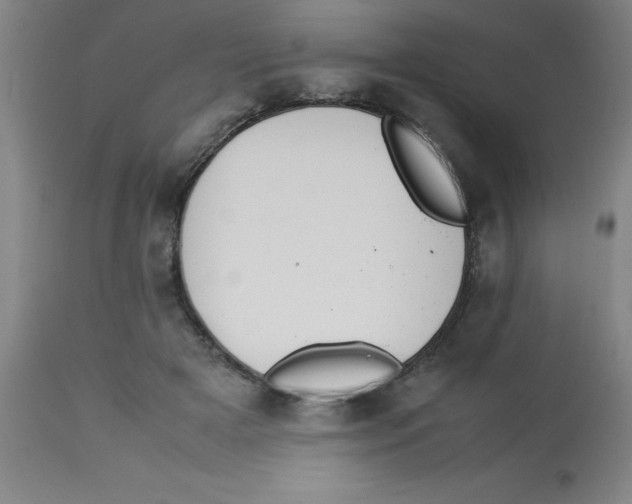 X0000112850505200909181740