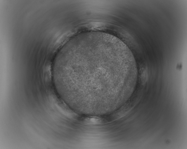 X0000112850506200909181740