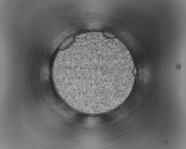 X0000112850508200909181740