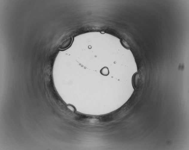 X0000112850509200909181740