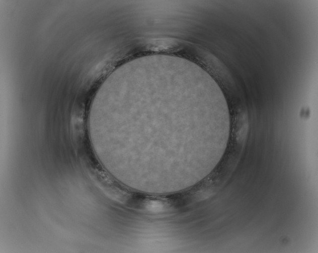 X0000112850510200909181740