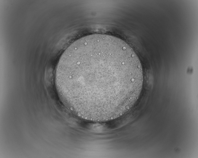 X0000112850511200909181739