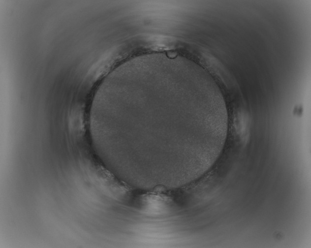 X0000112850512200909181739