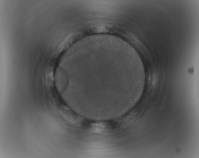 X0000112850516200909181739