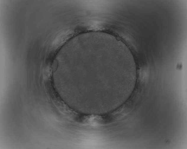 X0000112850517200909181739