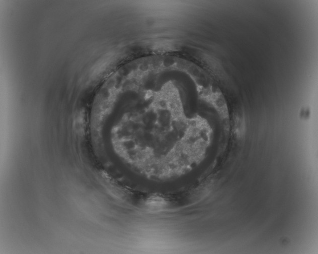 X0000112850519200909181739