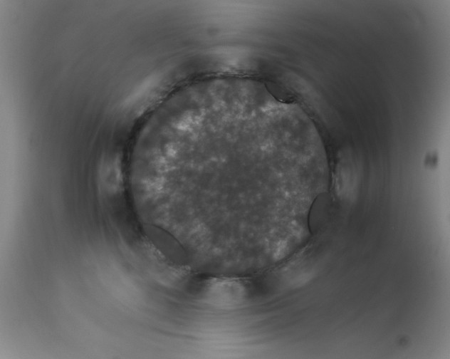 X0000112850520200909181739