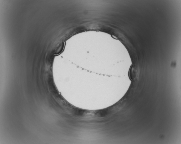 X0000112850521200909181739