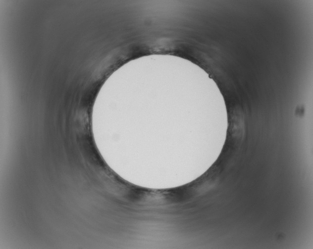 X0000112850523200909181739