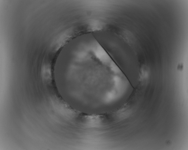 X0000112850524200909181739