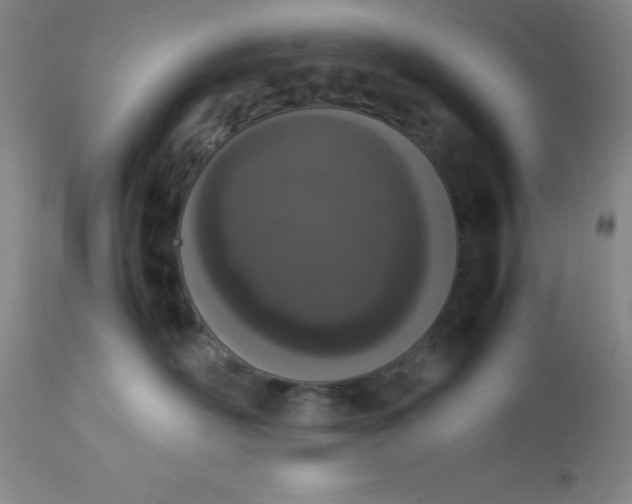 X0000112850526200909181739