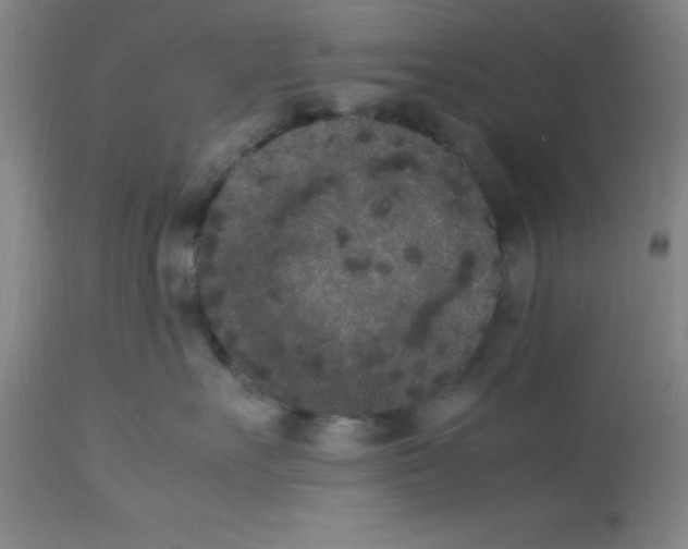 X0000112850527200909181739