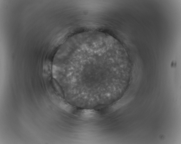 X0000112850528200909181739