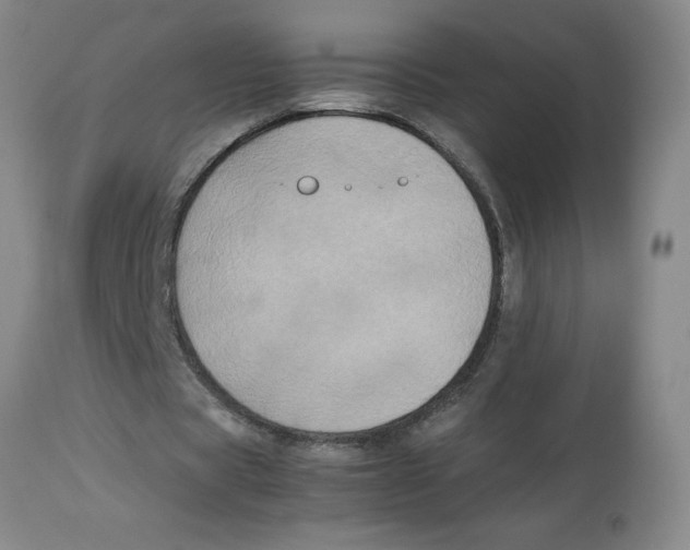 X0000112850529200909181738