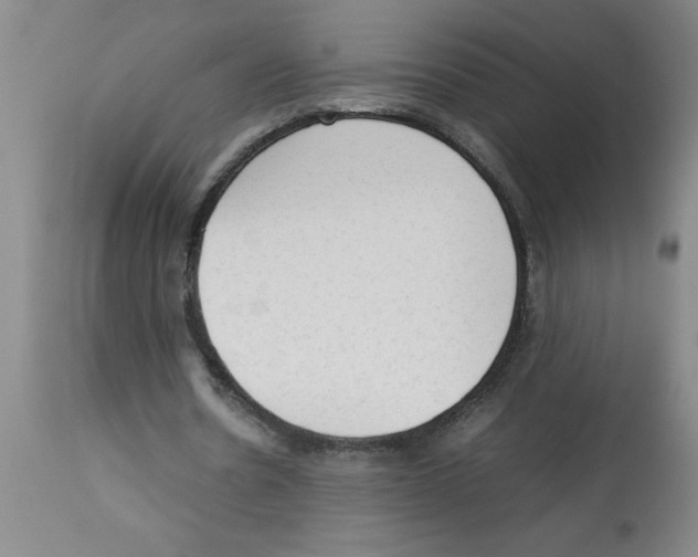 X0000112850530200909181738