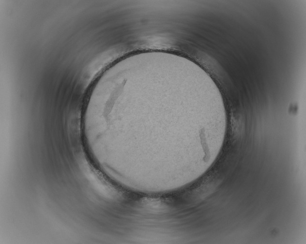 X0000112850534200909181739