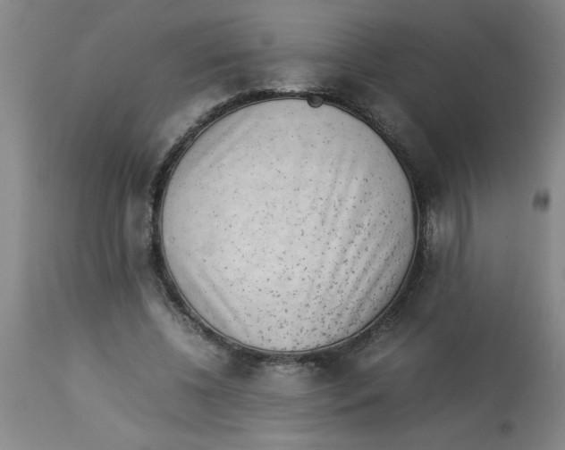 X0000112850540200909181739