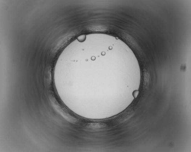 X0000112850541200909181739