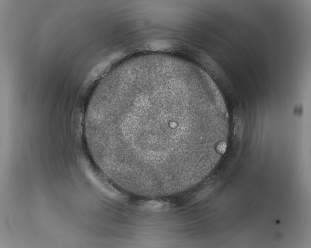 X0000112850542200909181739