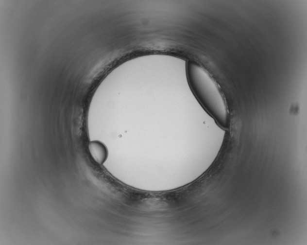 X0000112850544200909181739