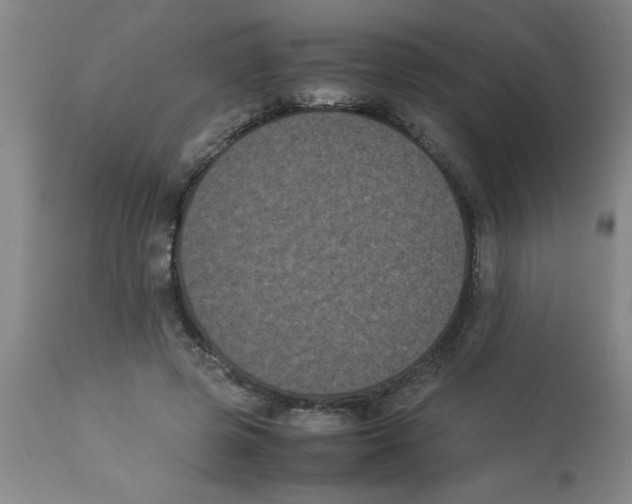 X0000112850545200909181739