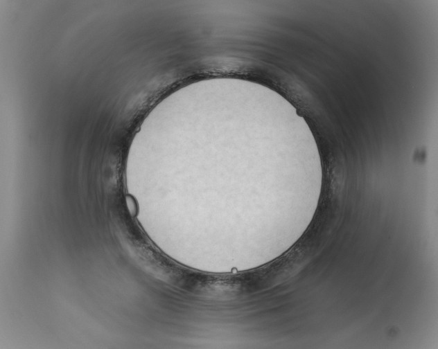 X0000112850546200909181739