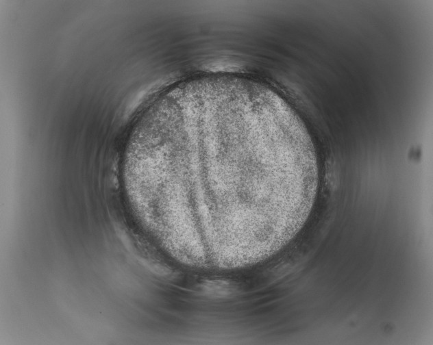 X0000112850547200909181739