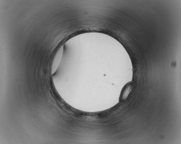 X0000112850548200909181739