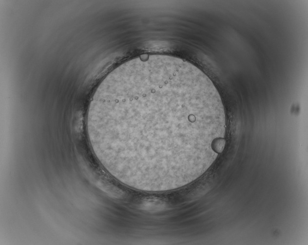 X0000112850549200909181739