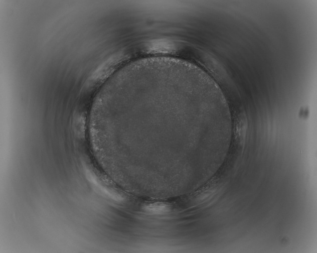 X0000112850551200909181739