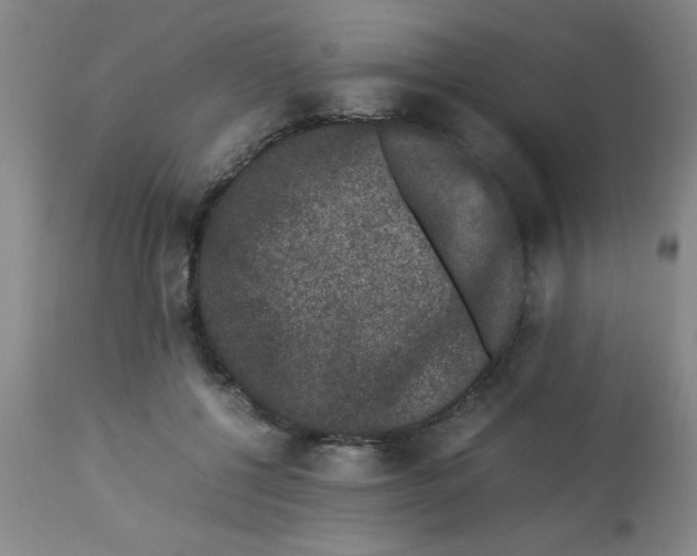 X0000112850552200909181739