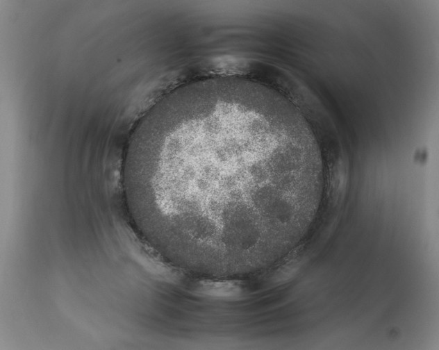 X0000112850553200909181739