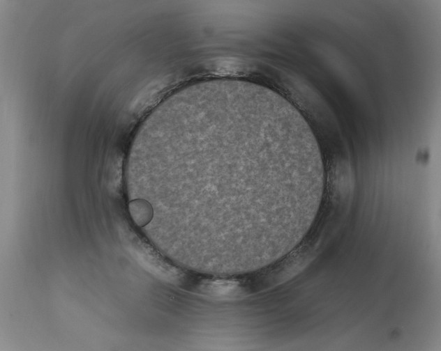 X0000112850554200909181739