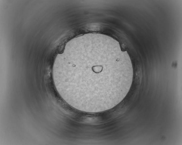 X0000112850555200909181739