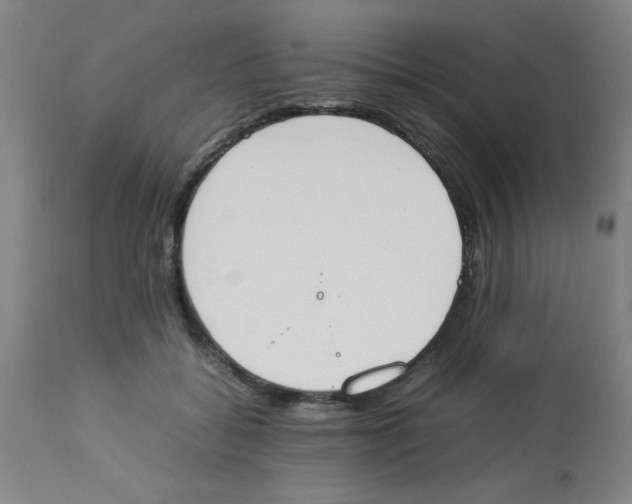 X0000112850556200909181739