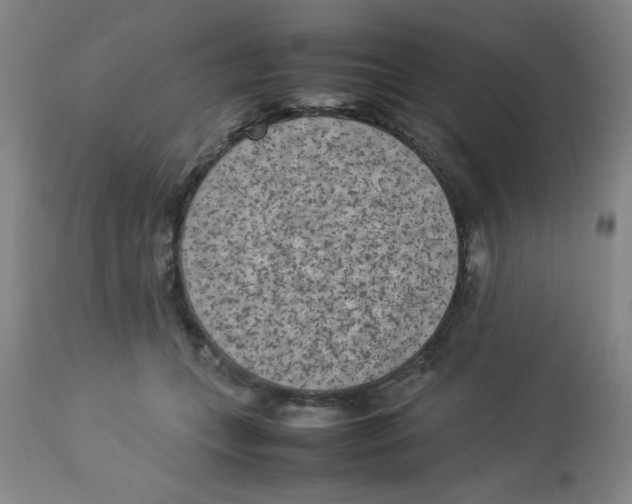 X0000112850559200909181739