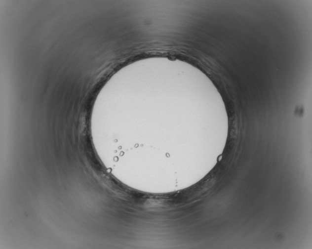 X0000112850560200909181739