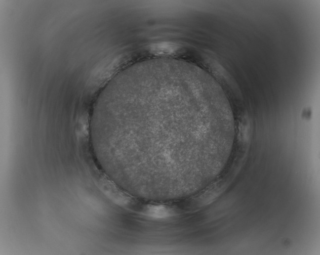 X0000112850561200909181739