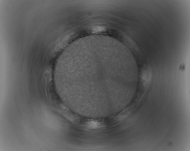 X0000112850565200909181739